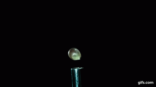 popcorn-pop.gif