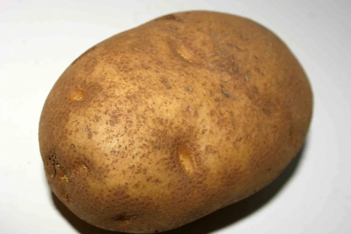 potato2.webp