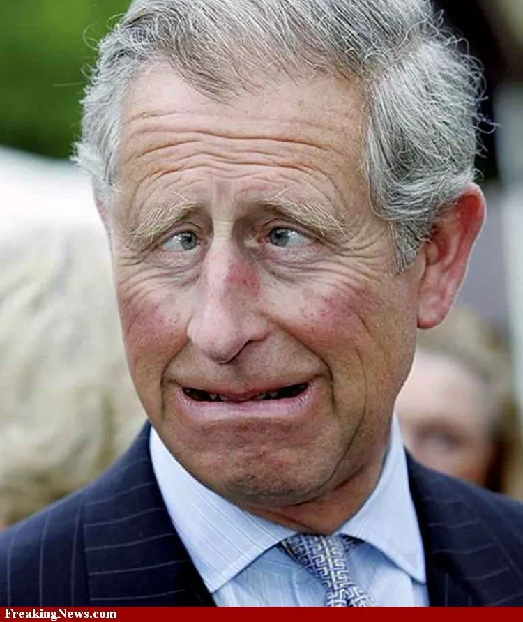 Prince-Charles--58666.webp