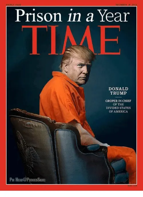 prison-in-a-year-donald-trump-groper-in-chief-of-8701000.webp