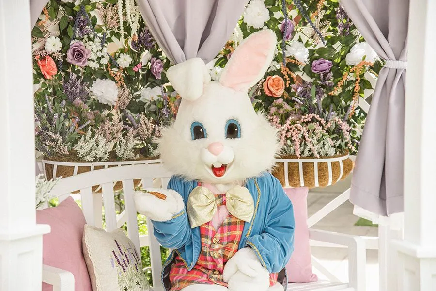 PromenadeBunny-18_900x600.webp