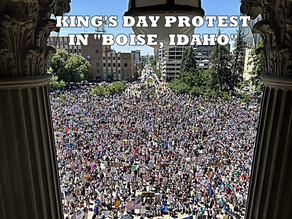 ProtestKingsdayboise.webp