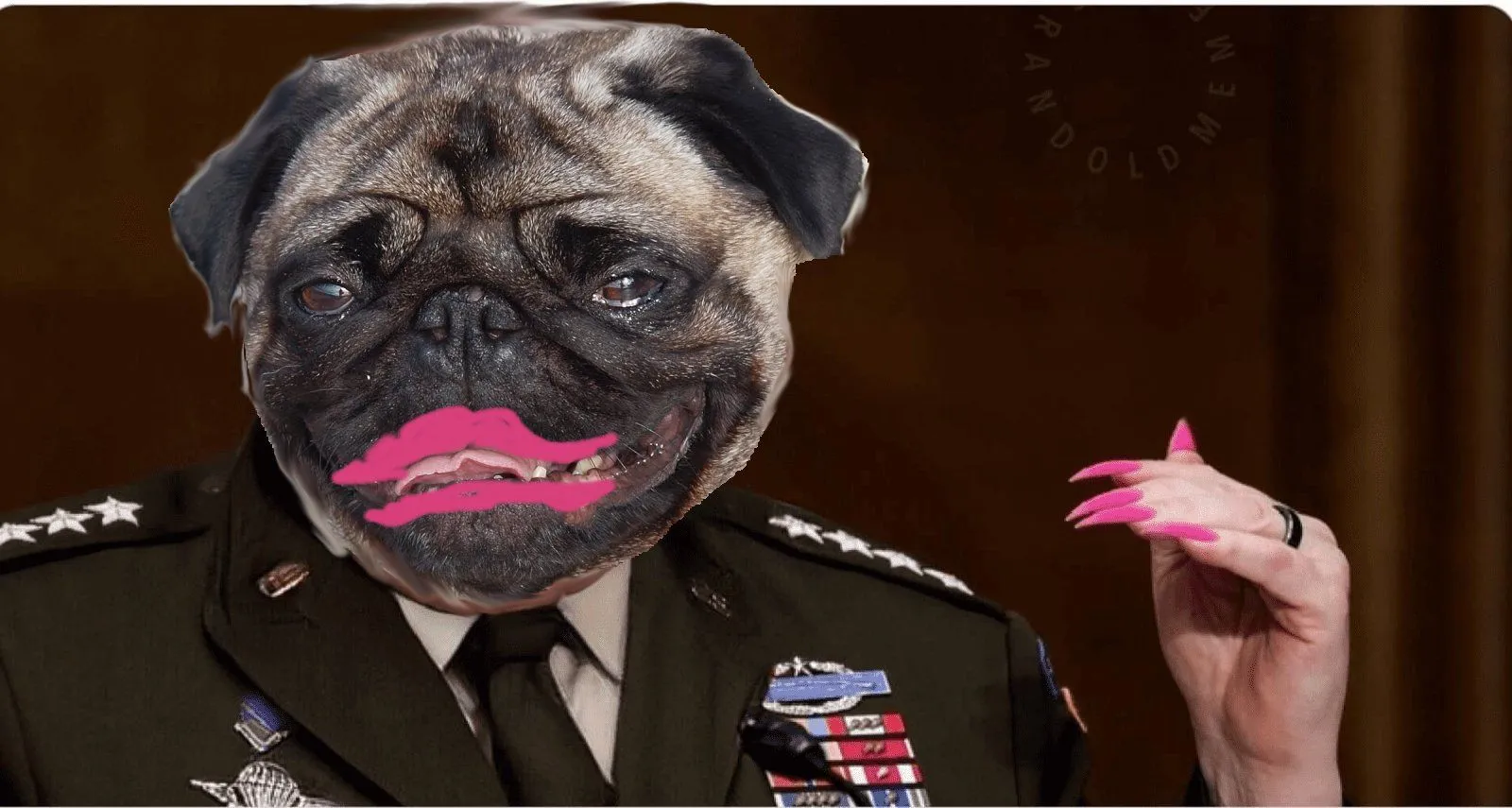 pug.webp