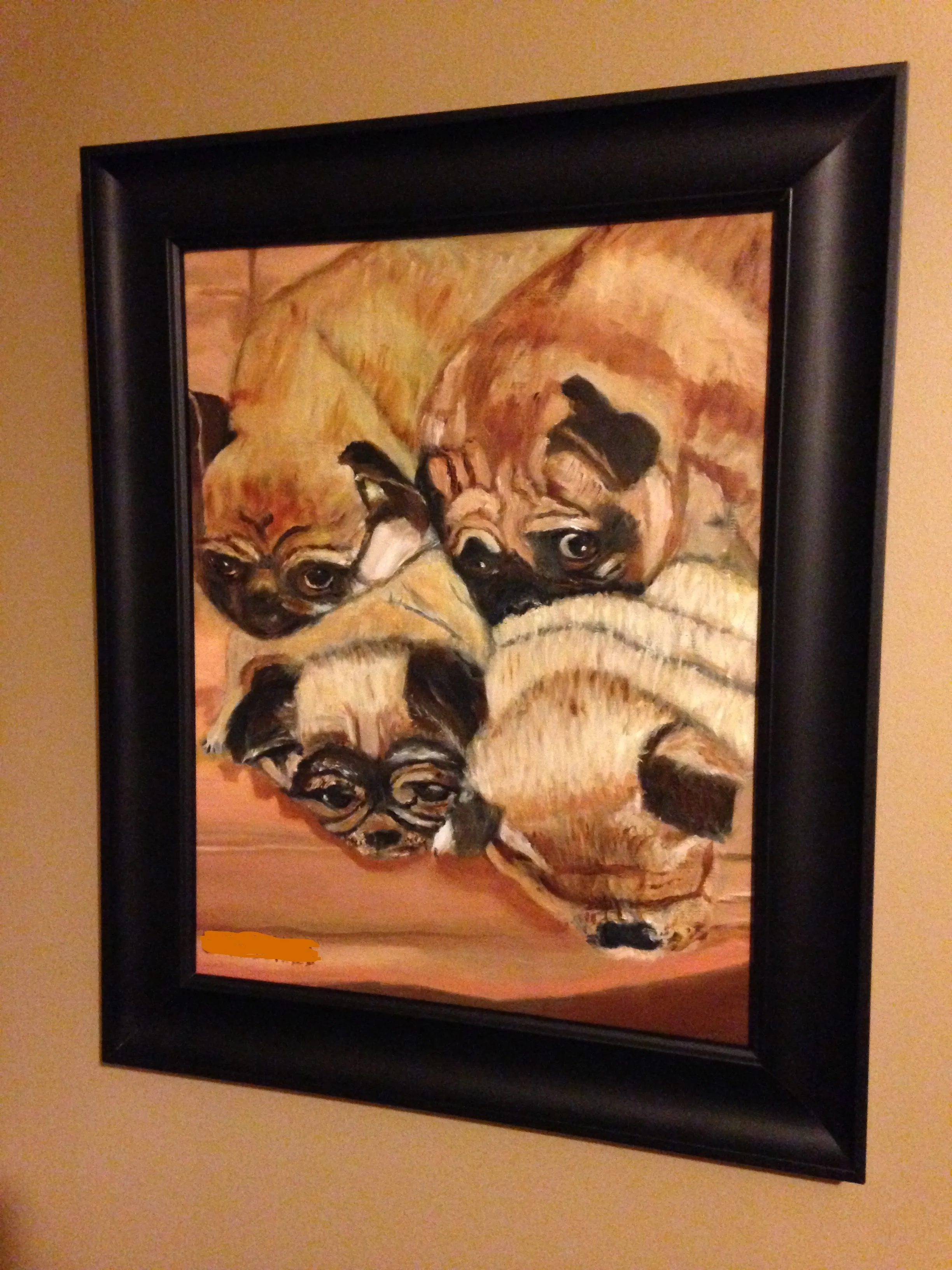 pugpic 037.webp