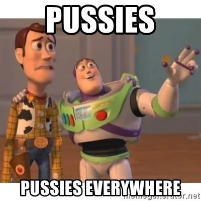 pussies-pussies-everywhere[1].webp