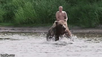 putin-bear.gif