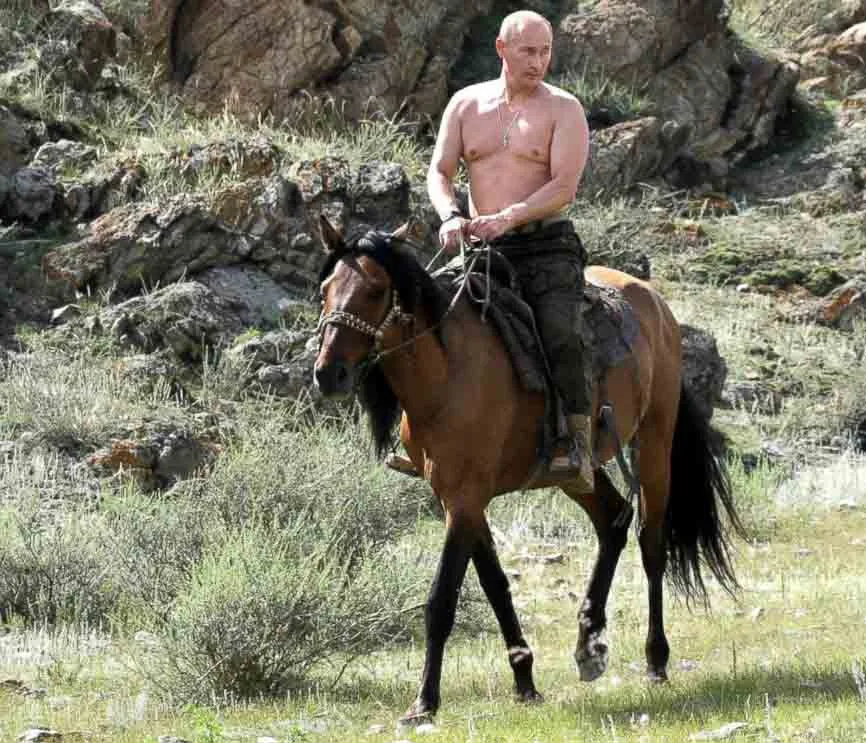 putin horse.webp