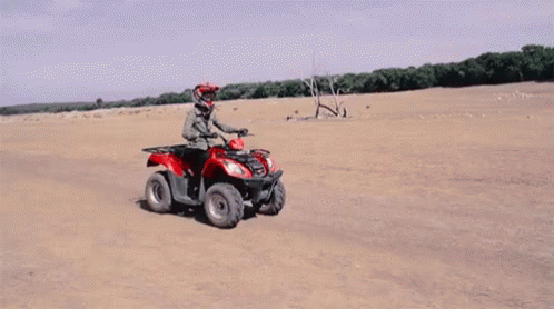 quad-bike-ride.gif