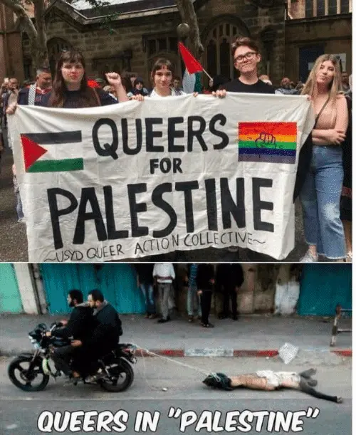 queers-for-palestine-usyd-queer-action-collective-queers-in-palestine-41173107.webp