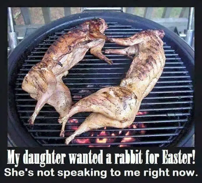 rabbit for easter.webp