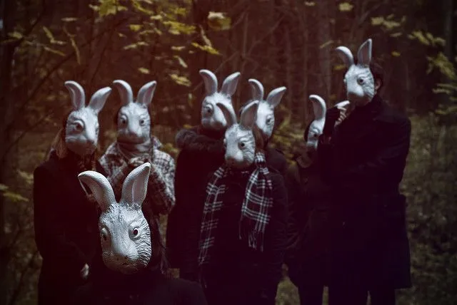 rabbit-gang.webp