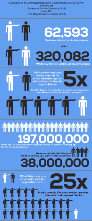 race crime statistics.png