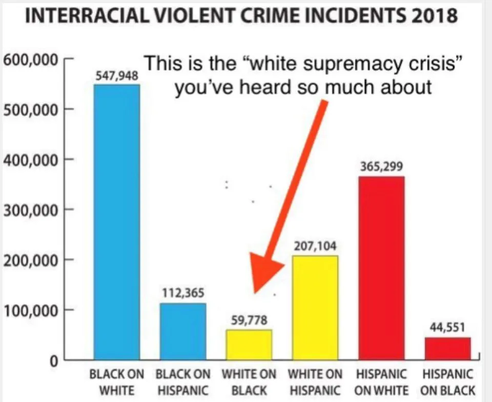 raceandcrime.JPG