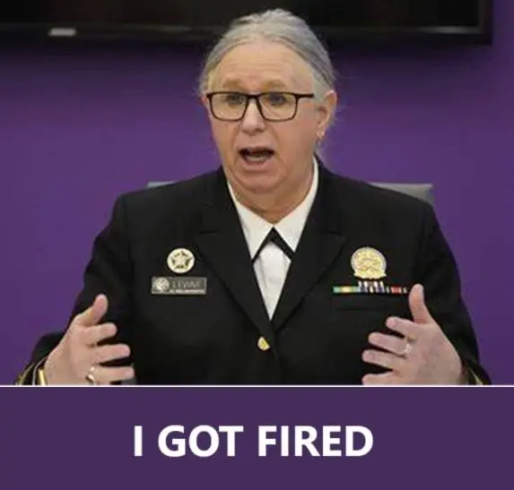 Rachel Leland Levine 2.webp