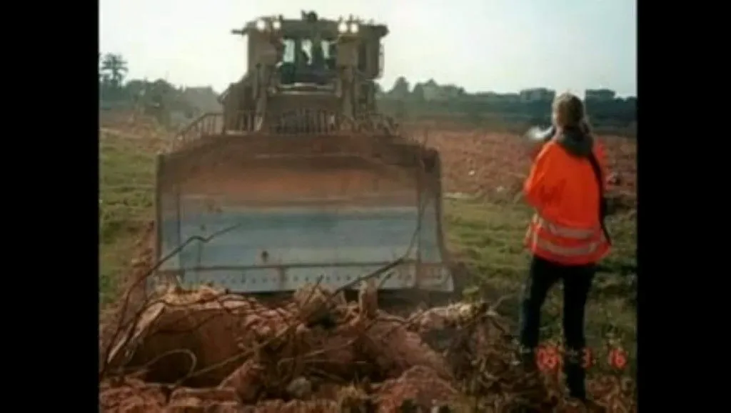 rachelcurryvsbulldoze.webp