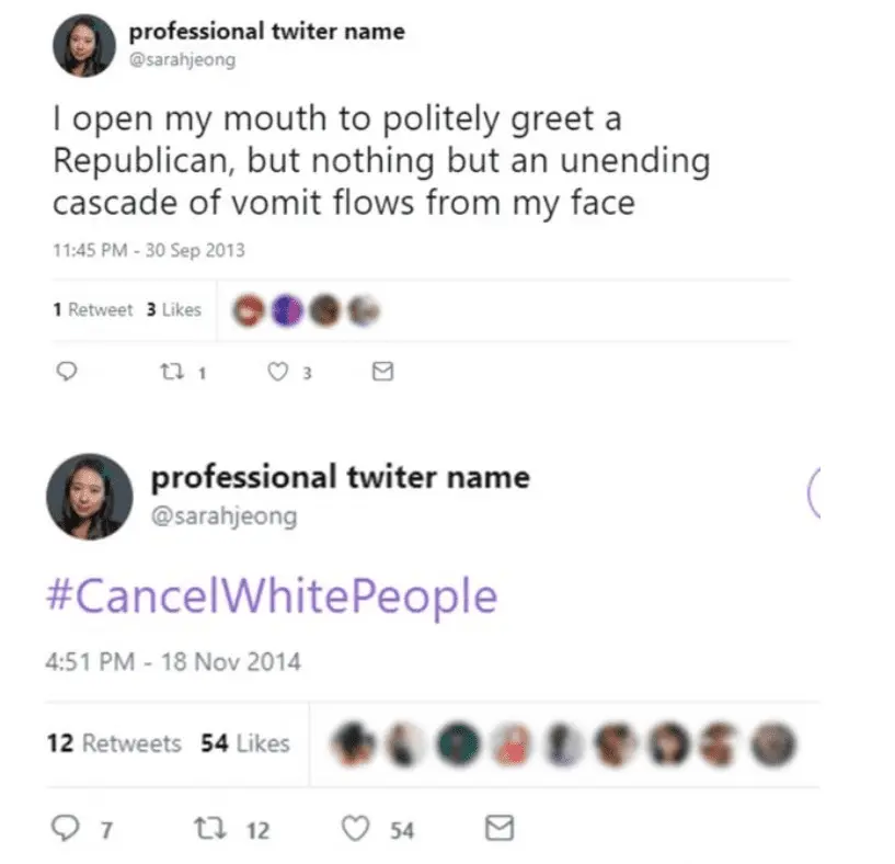 racist NYT 2.webp