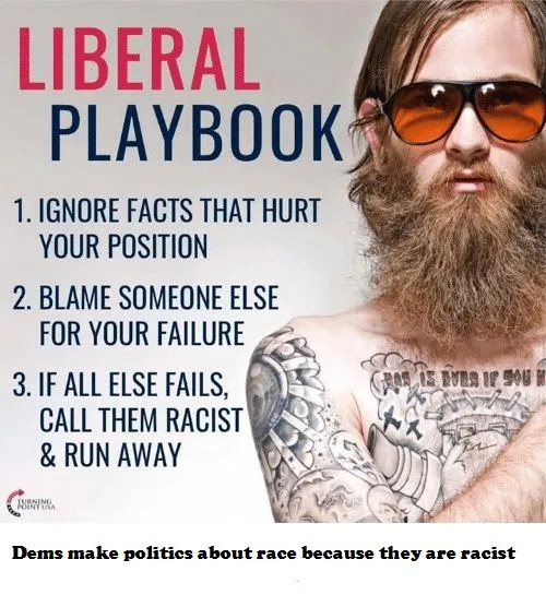 racistliberals2.webp