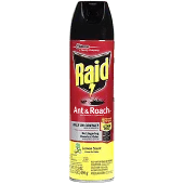 raid.webp