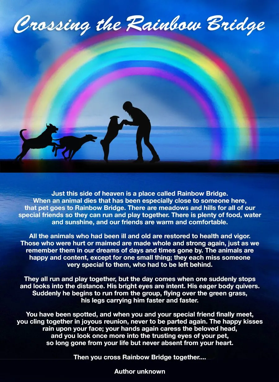 rainbowBridgeForDogs.webp
