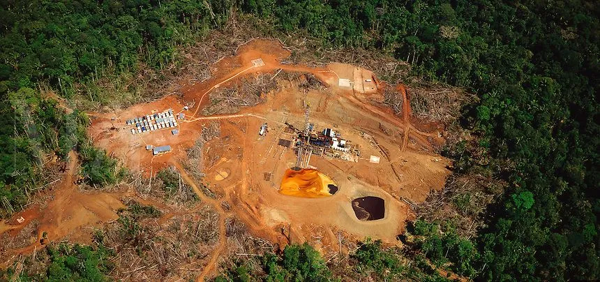 rainforest oil drilling.jpg