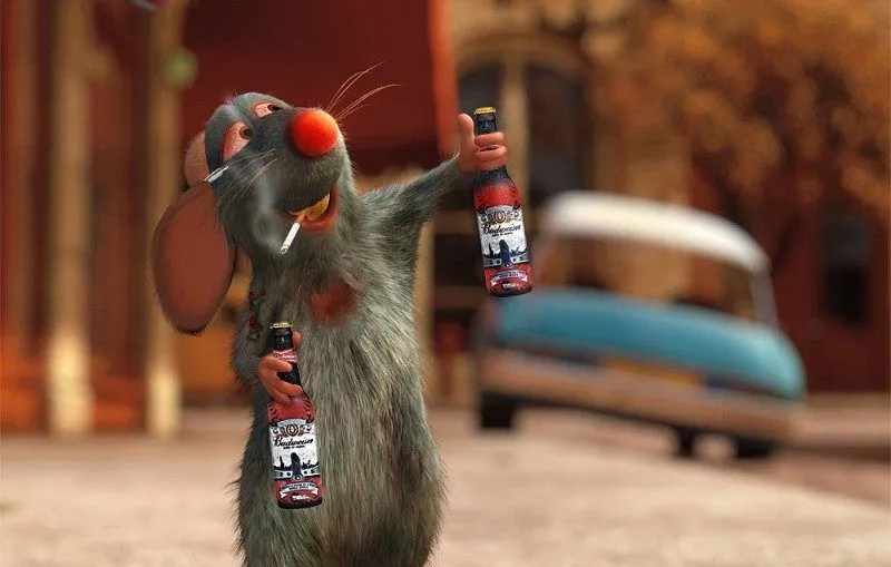 Rat-Drinking-Beer-44500-800x509-1.webp