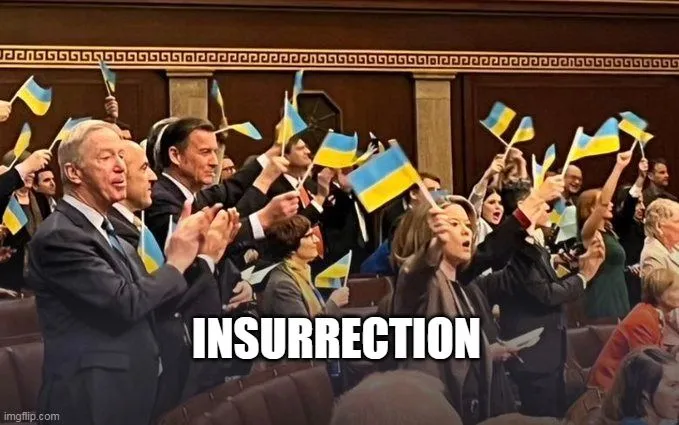 real insurrection 03.webp