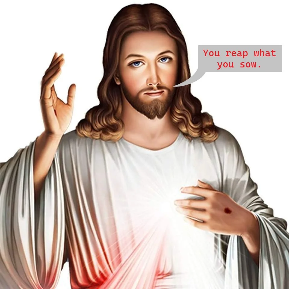 reap sow jesus.webp