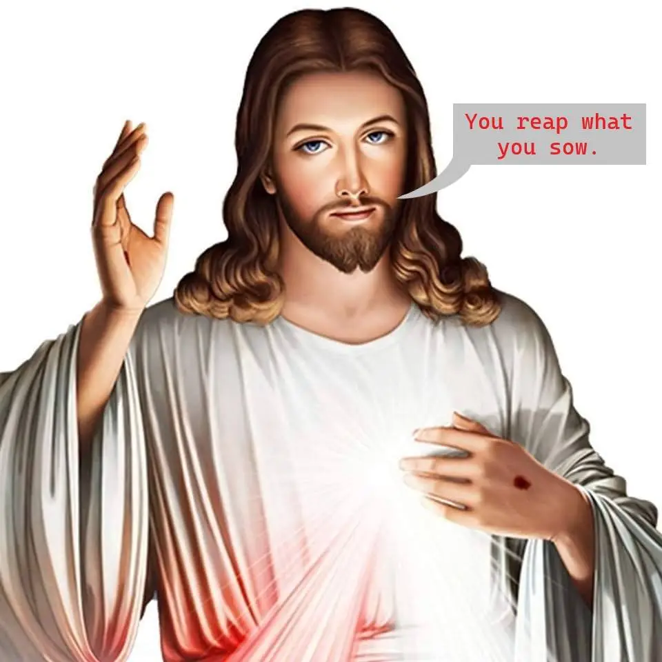 reap sow jesus.webp