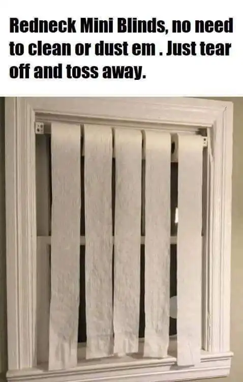 redneck mini blinds.webp