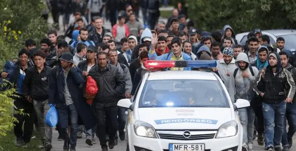 Refugees.webp