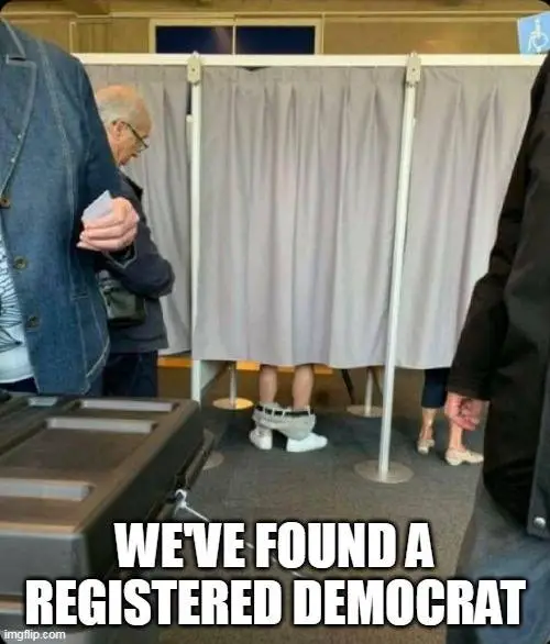 registered democrat.webp