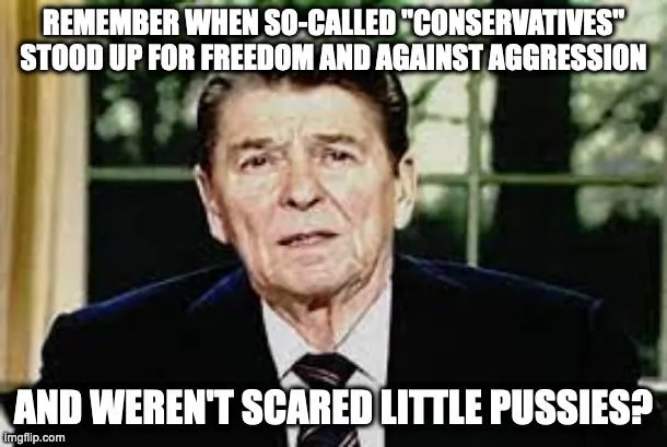 Remember when so called conservatives.webp