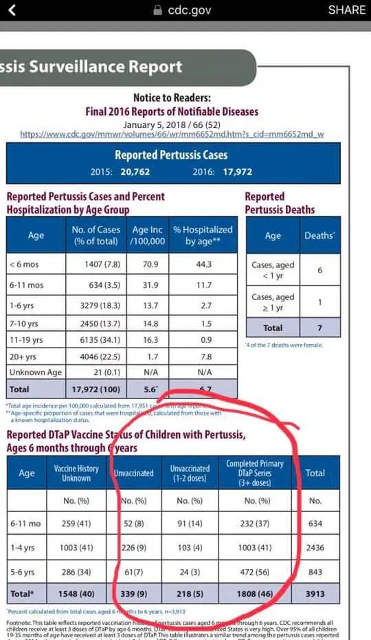 report vaccine 2016.webp