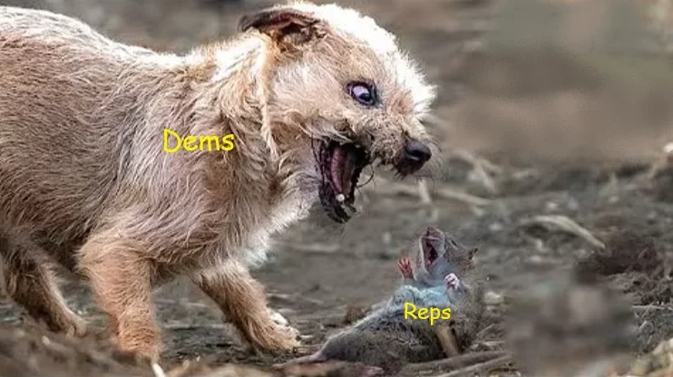 reps dems dog rat.webp