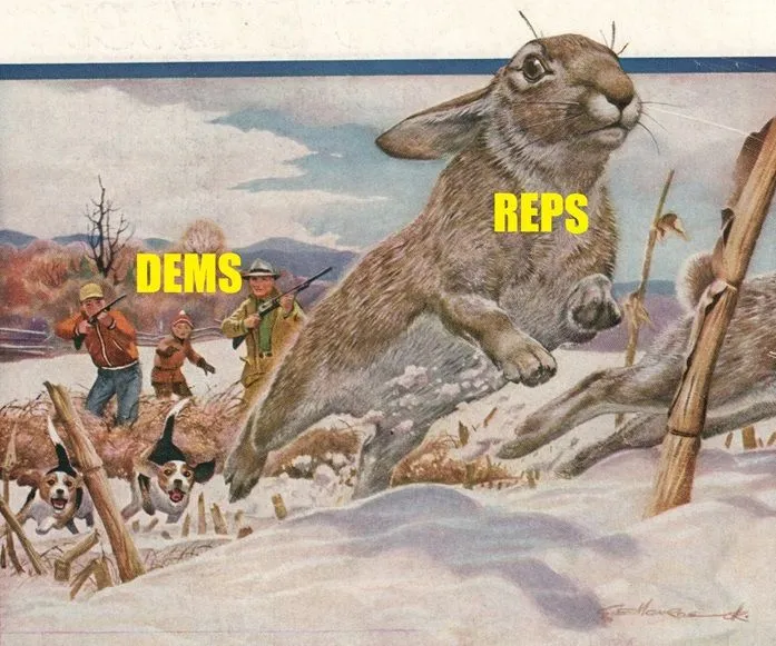 reps dems rabbit.webp