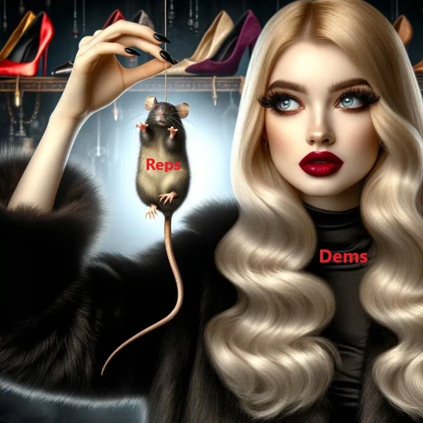 reps v dems blondie.webp