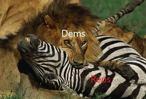 reps v dems lion.webp