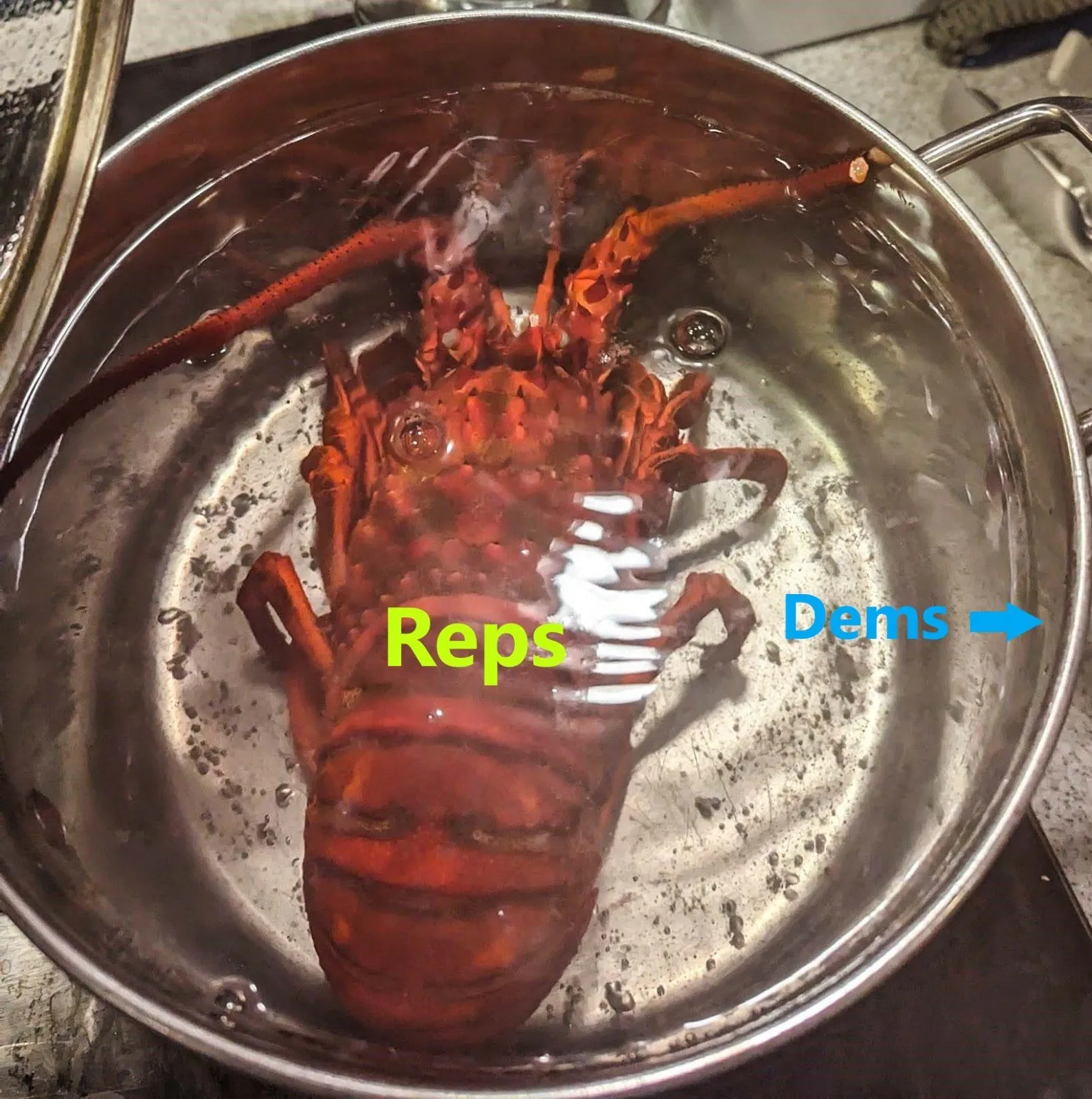 reps v dems lobster - Copy.webp