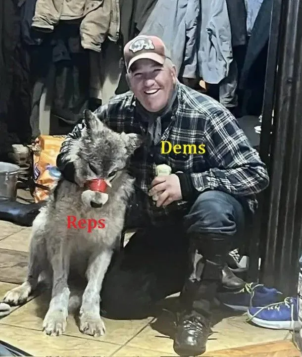 reps v dems wolf.webp