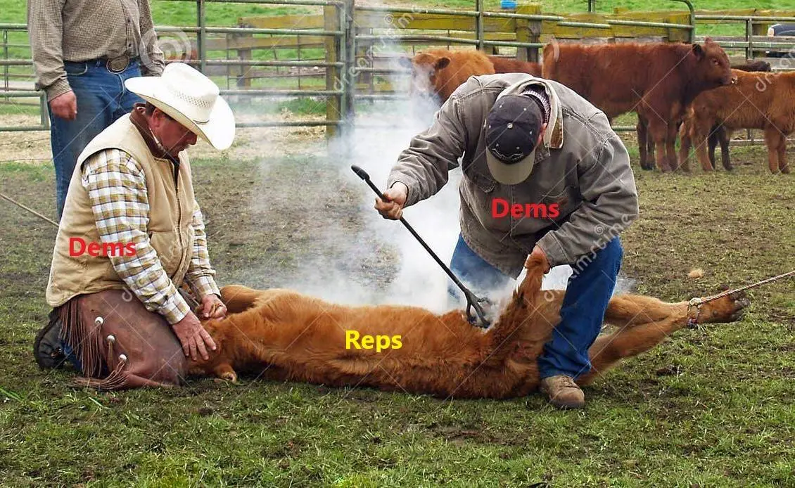 reps vs dems branding.webp