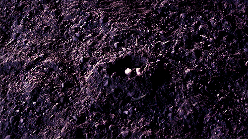 Rf1dd3a4f90d265a6c4f380a04c6f9e4a.gif