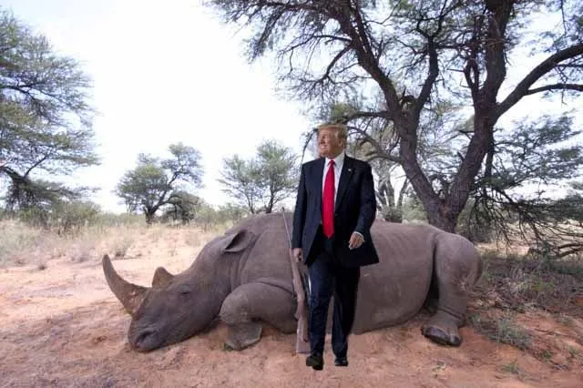 rino.webp