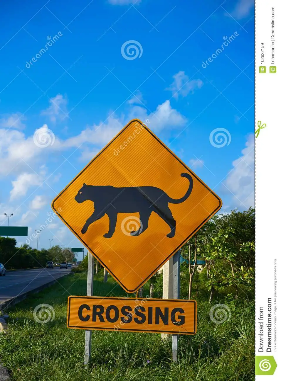 road-sign-panther-jaguar-crossing-mexico-road-sign-panther-jaguar-crossing-riviera-maya-mayan...webp