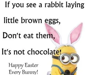 roadrunner have to be counseled on easter egg hunting.webp