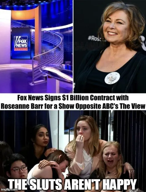 roseanne barr sluts.webp