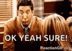 ross-geller-yeah-ok-sure-bdkxz5ntddyhnp9k.gif