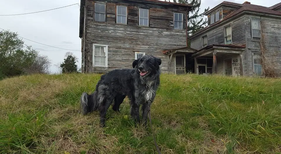 Rue and abandoned house.webp