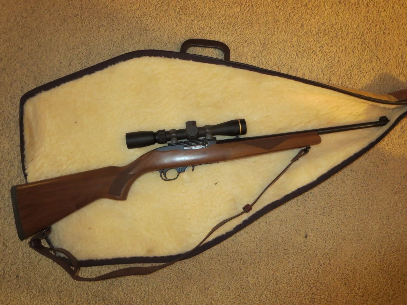Ruger 1022.JPG