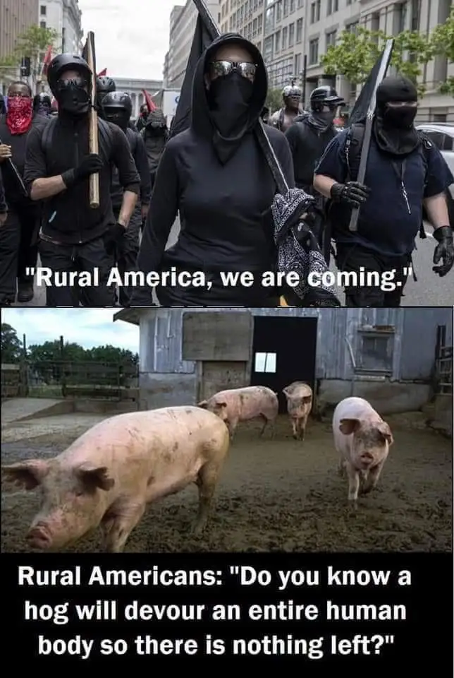 RuralMurica2.webp