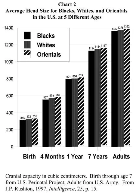 Rushton brain size.jpg